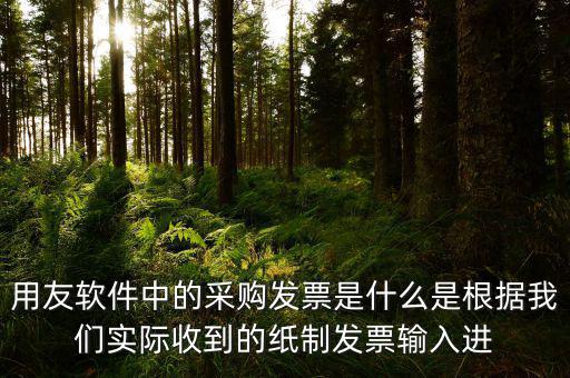 上下游采購發(fā)票是什么，用友軟件中的采購發(fā)票是什么是根據(jù)我們實(shí)際收到的紙制發(fā)票輸入進(jìn)