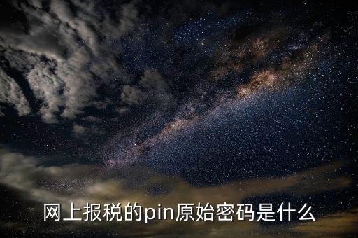 國稅什么叫pin碼，機構代碼的ca證書的PIN碼是什么我用CA證書登陸國稅時提示詳細