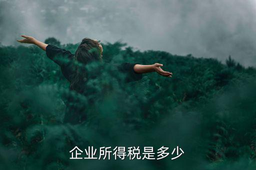 生產(chǎn)企業(yè)稅收標(biāo)準(zhǔn)是什么，企業(yè)所得稅是多少
