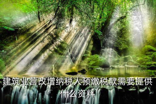 預(yù)繳增值稅要什么資料，在外地有個(gè)工程想用人工費(fèi)發(fā)票增值稅來抵預(yù)交稅款的增值稅需