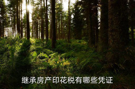 印花稅應(yīng)納稅憑證是什么，什么是憑證印花稅