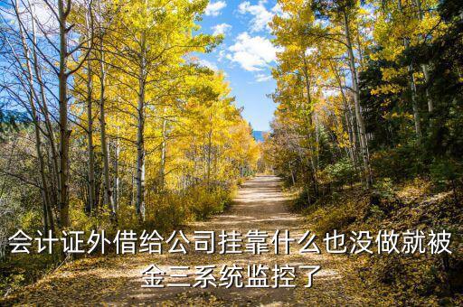 金三系統(tǒng)有什么問題，會計(jì)證外借給公司掛靠什么也沒做就被金三系統(tǒng)監(jiān)控了