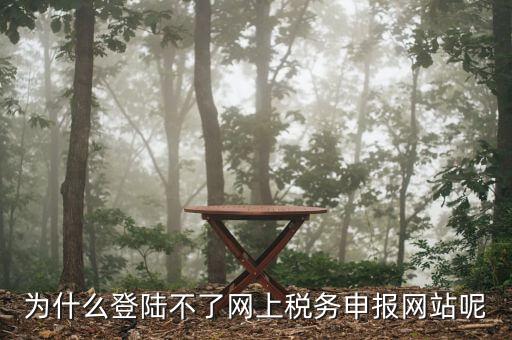 申報個稅登錄不上去是什么原因，為什么我的個人所得稅總是登不上去
