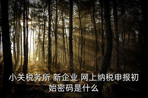 深圳國稅微信預(yù)約密碼是什么意思，小關(guān)稅務(wù)所 新企業(yè) 網(wǎng)上納稅申報(bào)初始密碼是什么