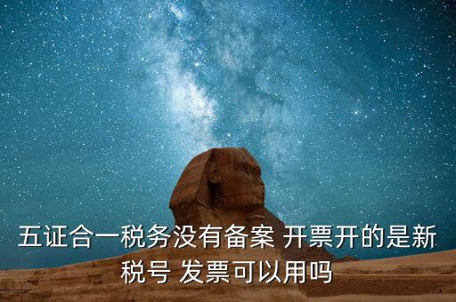 新稅號用到什么，新稅號開的發(fā)票與老稅號開具的發(fā)票有什么不同