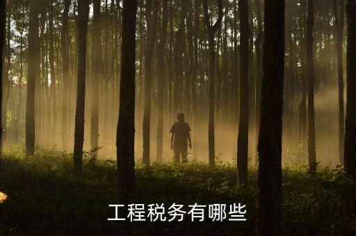 稅務(wù)三代項(xiàng)目是什么，通常說(shuō)的三稅是指什么啊