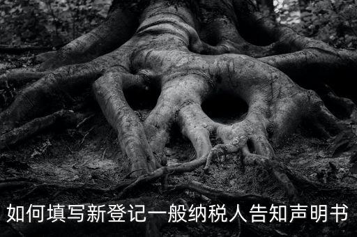 納稅人聲明是什么意思，一般納稅人申報表主表的申明人必須輸入是什么意思