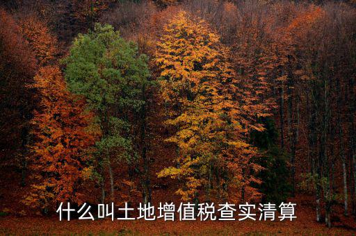 土地增值稅為什么清算，土地增值稅清算