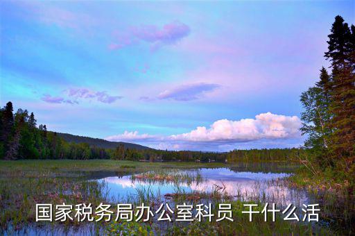 國稅行政辦公室干什么，國稅局辦公室怎么樣