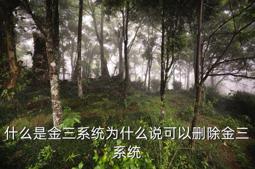 國稅金三系統(tǒng)是什么，什么是金三系統(tǒng)為什么說可以刪除金三系統(tǒng)