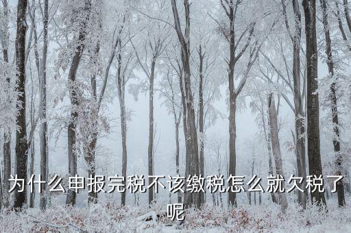 為什么國(guó)稅欠稅不催繳，因稅務(wù)機(jī)關(guān)原因未能及時(shí)繳納稅款是否屬于欠稅