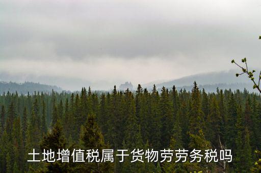 土地增值稅屬于什么稅種，土地增值稅是什么