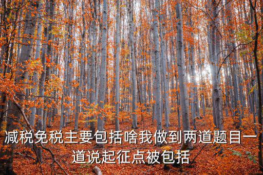 什么是減稅免稅，什么是稅收法定減免