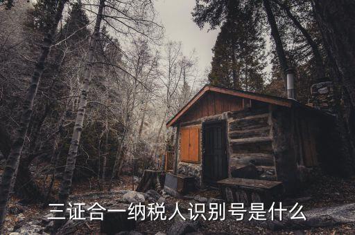 稅號(hào)識(shí)別號(hào)是什么意思，納稅人編碼 納稅人識(shí)別號(hào)有什么區(qū)別