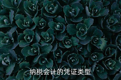 應納稅憑證種類是什么，憑證種類999是什么