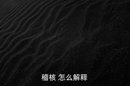 發(fā)票稽核補(bǔ)稅什么意思，稽核 怎么解釋
