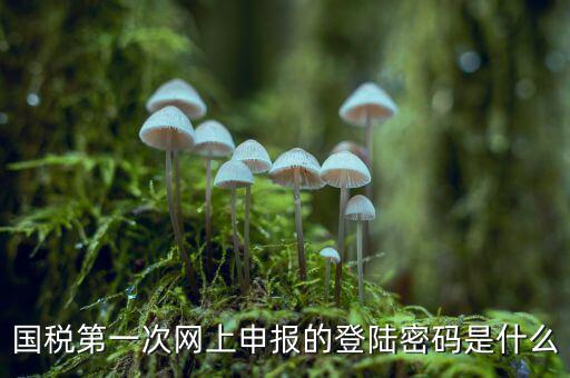 國稅登記密碼是什么，國稅第一次網上申報的登陸密碼是什么