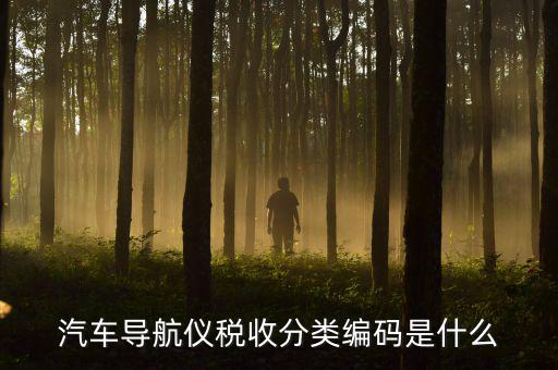 汽車的稅收分類編碼是什么意思，汽車導(dǎo)航儀稅收分類編碼是什么