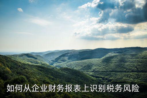 稅務(wù)風(fēng)險(xiǎn)核查是什么意思，虛開增值稅專用發(fā)票核查 什么意思