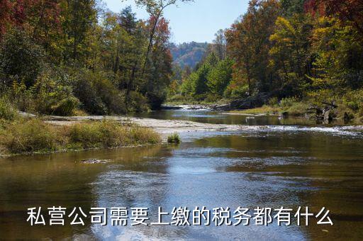 民營企業(yè)需要地稅什么服務(wù)，私營公司需要上繳的稅務(wù)都有什么
