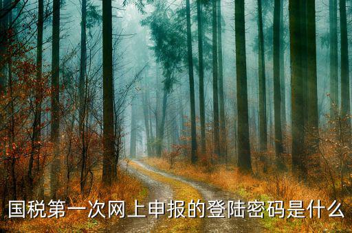 廣州國(guó)稅官網(wǎng)登錄密碼是什么，稅務(wù)局網(wǎng)站的登入賬戶初始密碼是什么