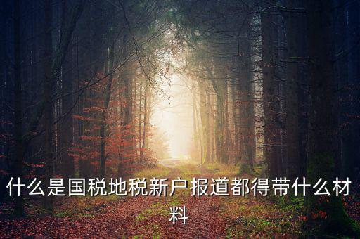 什么是國(guó)稅地稅新戶(hù)報(bào)道都得帶什么材料