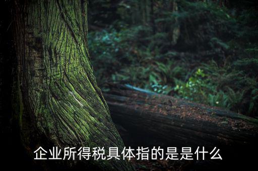 什么是企業(yè)所得，什么是企業(yè)所得稅