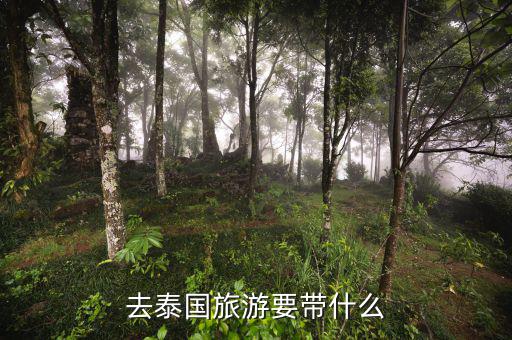 稅務(wù)局的信仰是什么，道德模范有哪些