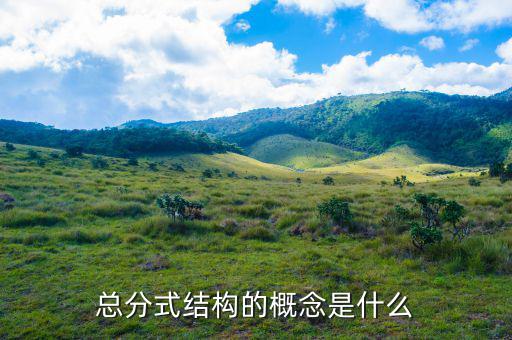 總分機構標志是什么意思，總分機構納稅人是什么意思