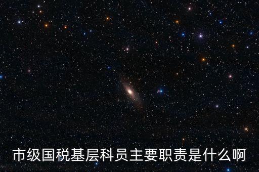 基層國稅辦公室做什么，請問國稅局基層分局科員縣域主要負責什么工作