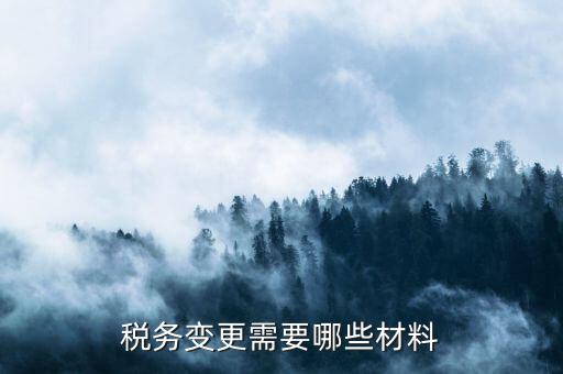 變更辦稅員要帶什么，財(cái)務(wù)負(fù)責(zé)人和辦稅員的變更需要辦理哪些手續(xù)