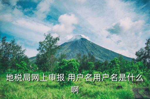 地稅注冊(cè)用戶名是什么意思，地稅的用戶名是什么