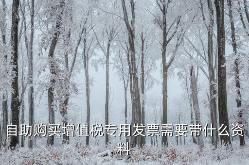 自助發(fā)票需要帶什么，自助購(gòu)買(mǎi)增值稅發(fā)票需要身份證嗎