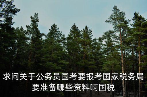 求問關(guān)于公務員國考要報考國家稅務局要準備哪些資料啊國稅