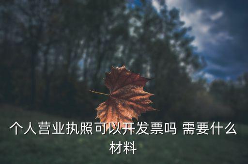 個體打印發(fā)票需要什么，個人購物開增值稅普通發(fā)票需要什么資料