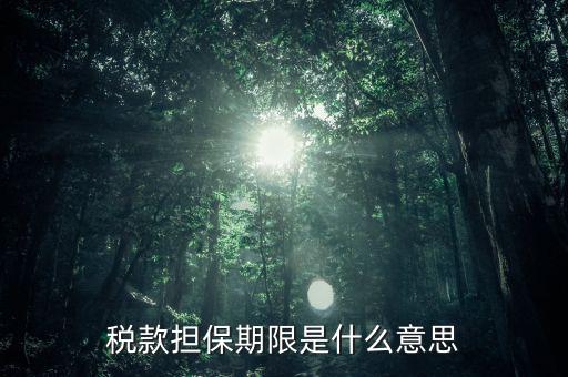納稅擔保人什么意思，稅款擔保期限是什么意思