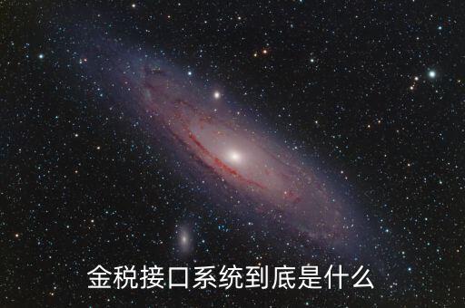 金稅售后是做什么的，鞍山金稅科技有限公司是干什么工作