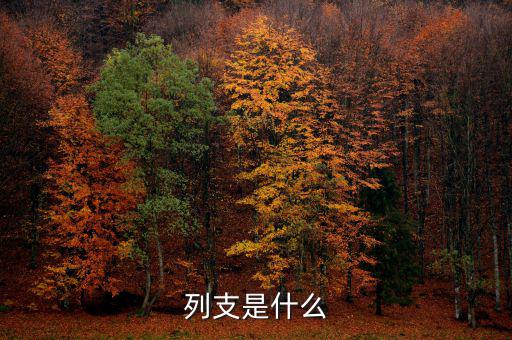賠付支出能列支什么意思，列支是什么意思