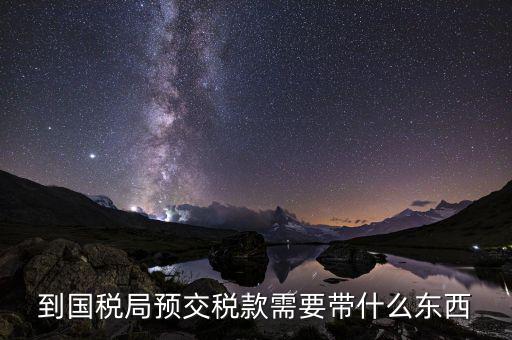 稅費預繳需要什么，到國稅局預交稅款需要帶什么東西