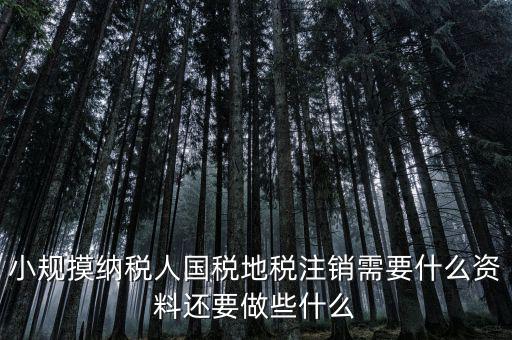 國地稅注銷需要什么，小規(guī)摸納稅人國稅地稅注銷需要什么資料還要做些什么