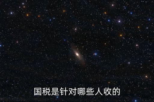 國稅都有什么人才庫，國稅有哪幾種