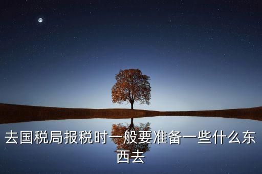 去國(guó)稅局都是帶什么東西，去國(guó)稅定稅要帶哪些東西啊我暈倒了以前從來(lái)沒(méi)定過(guò)