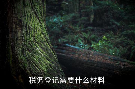 稅務(wù)辦理需要什么東西，辦理稅務(wù)登記證都需要帶什么東西