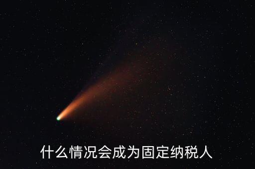 什么是固定納稅人，什么是定額納稅人