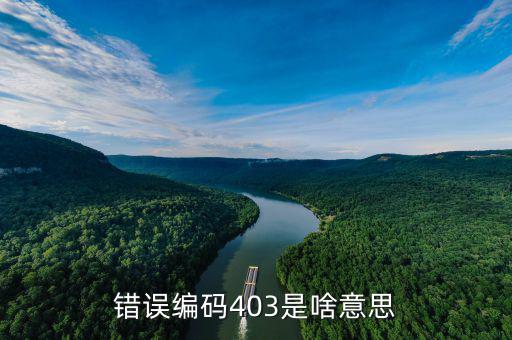 稅收分類(lèi)編碼錯(cuò)誤的是什么意思，錯(cuò)誤編碼403是啥意思