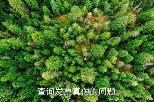 查發(fā)票真假為什么，查詢發(fā)票真?zhèn)蔚膯?wèn)題