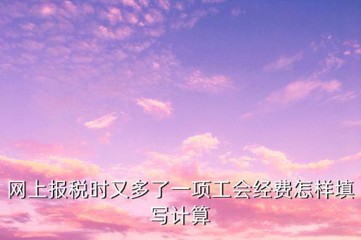網(wǎng)上報(bào)稅時(shí)又多了一項(xiàng)工會經(jīng)費(fèi)怎樣填寫計(jì)算