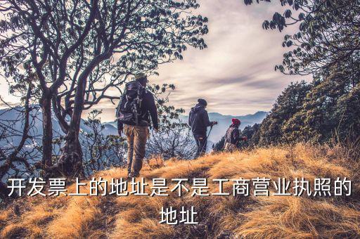 開票地址是什么，有沒有公文說開票的地址是填寫注冊(cè)地還是經(jīng)營(yíng)地址