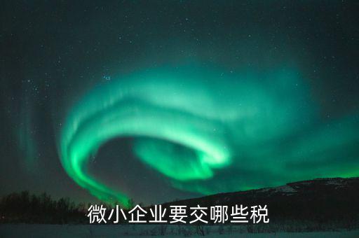 小微企業(yè)要交什么，小微企業(yè)要交哪些地稅