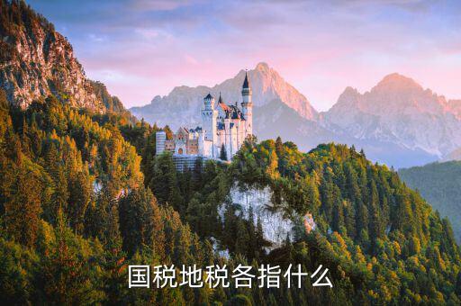 國(guó)稅代征地稅什么意思，國(guó)稅地稅各指什么